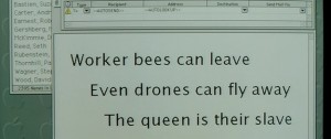 worker-bees-can-fly-away